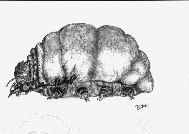 Starship Troopers Brain Bug